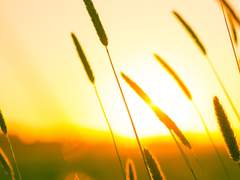 [마호야쿠/레녹스] 기억을 걸으면 그 끝엔 네가 있고