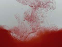 [현제유진] 헌혈이라며