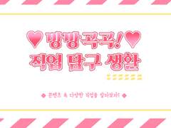 방방곡곡! 직업 탐구 생활