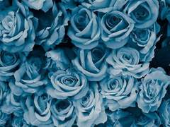 그게 그리 쉬울까 싶으면서도.