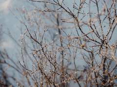 편지의 사랑받는 수신인.