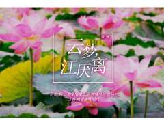 [강염리]云梦, 江厌离 1