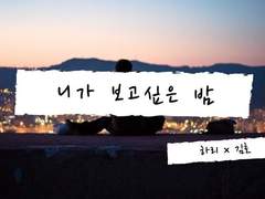 니가 보고싶은 밤