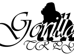 고릴라 TRPG Roll20용 화면 세팅 공유