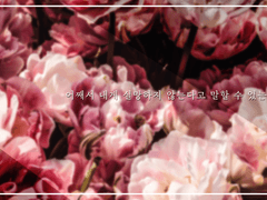 어째서 내게 실망하지 않는다고 말할 수 있는거니?