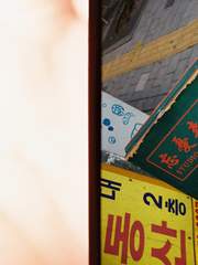 씨앗이거나 모종이거나