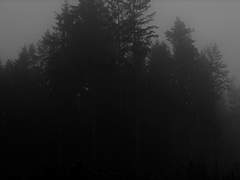 [미하로드] VIGIL