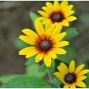 감성블로그. 김현 철