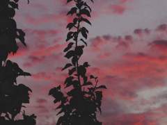 우리들은 무엇으로 사는가.