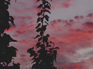 우리들은 무엇으로 사는가.