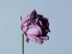 그동안 썼던 썰들