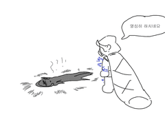 하월님과플로님