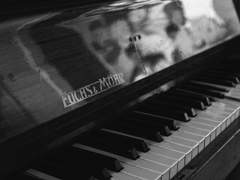 신앙을 의심하는 행위는 자살과 같다.