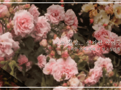 너는 정말... 신기한 아이구나.