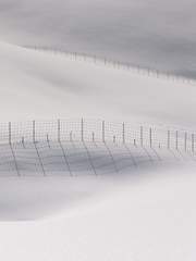 사랑한다고 말해주고 싶었어