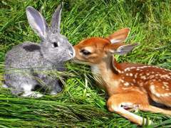 수싀 트윗백업 - 11월 (하)