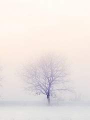 [메이플] 오늘은 完