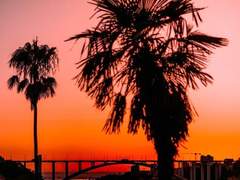 캘리포니아 레터