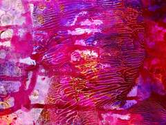 아하하! 톰, 오늘은 또 무슨 일이죠?