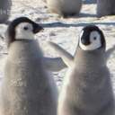 아리스토리텔링ㅇ