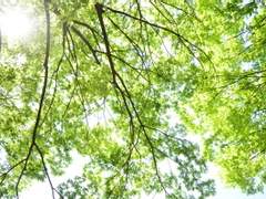 [하이큐/보쿠토 코타로] 부엉이 짝사랑기 5