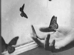 잿더미 위의 처형식