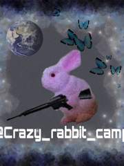 미친 토끼 캠프