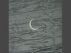 시시콜콜한 이야기