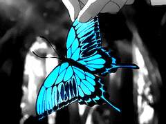 날아오르는 건 나비뿐만이 아닌지라