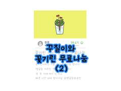 29. 꾸질이와 꽃기린 무료나눔 (2)