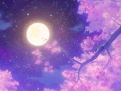 [셋링] 깊은 밤의 로맨스