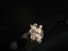 빙바 시즌 1 32화 리메이크