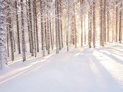 추억을 비추는 이야기