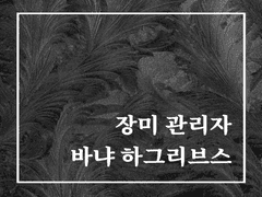 [김로망] 장미 관리자 바냐 하그리브스