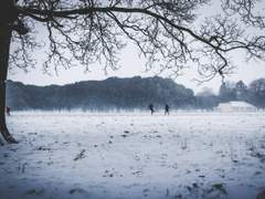 벌칙으로 썼던 미완성 단편