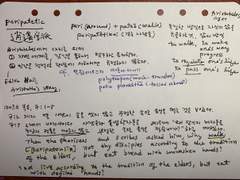 개념들 — peripatetic