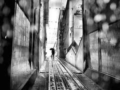 나는 아직 너를 떠나보내지 못했다.