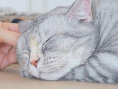 청춘흥신소 10 (完)