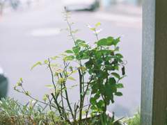 제주도에서 담은 빛