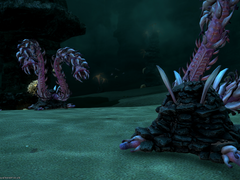 [증식하는 바위]