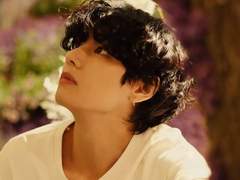 [뷔진] (1-2) 허상과 허망의 경계.