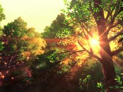 [셋링] 하늘을 수 놓는 빛-1