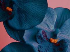 [고죠게토] 여름이 갇혀 있는 곳 : 외전 1