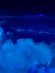 버뮤다 삼각지대