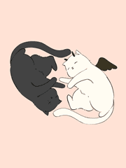 개인소장용으로만 제작 가능