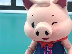 하이큐로 배구 올스타전