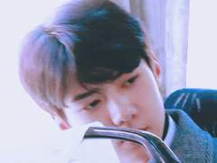 표현 불능의 발달 단계 13