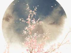 善与恶有半点差别 ― 0