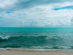 신의 서책에 이름을 남기며,