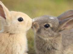 [해리포터] 2층 창문 위의 소녀